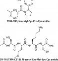 Chemical structure of novel TXM peptides developed at the Hebrew University of Jerusalem.