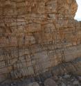 Analysis of rocks unearthed in Oman that were formed in an ancient ocean around the time of Earth's greatest mass extinction have helped explain why life on Earth took so long to recover.