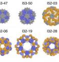 Computational models of the 10 successful designs are shown via molecular surface representations (design names are shown above each model).  Each design comprises a pairwise combination of pentameric (grey), trimeric (blue), or dimeric (orange) building blocks aligned along icosahedral fivefold, threefold, and twofold symmetry axes, respectively.  All models are shown to scale relative to the 30 nanometer scale bar.