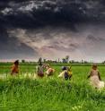 Monsoon rains fall on the green valleys of Madhya Pradesh, India.