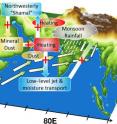 This is a figure depicting dust-monsoon interactions. The positive feedback between dust emissions,atmospheric heating, and shamal winds is seen as a cycle over
the Middle East and the Arabian Sea.