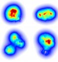 These are four snapshots of the gluon density in a proton at high energy, as modeled by M&auml;ntysaari and Schenke. Red indicates high gluon density, blue indicates low density.