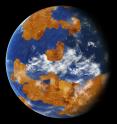 Observations suggest Venus may have had water oceans in its distant past. A land-ocean pattern like that above was used in a climate model to show how storm clouds could have shielded ancient Venus from strong sunlight and made the planet habitable.