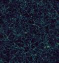 This simulation of the large-scale structure of the universe reveals the cosmic web of galaxies and the vast, empty regions known as voids.