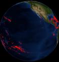 The East Pacific Barrier; over 5,000 km of open ocean separating eastern Pacific coral reefs (in red) from their nearest neighbors to the west.