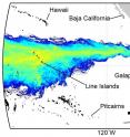Density of larval paths from the Northern Line Islands, the closest neighbors of eastern Pacific reefs, modeled over the 1997-98 El Nino. Modeled larvae fall short of making the >5,000 km journey from these potential central Pacific sources of population replenishment to imperiled reefs in the eastern Pacific.