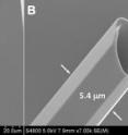 These potassium diphosphate (KDP) crystals, which self-assemble in solution as hollow hexagonal rods, could find use in laser technology, particularly for fiber-optic communications. The scanning-electron image at right shows a crystal at higher resolution with scale added.