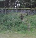 This is a partly blocked entrance to the bunker system. In the background, pine-spruce forest overgrowing the hillock built to camouflage the structure.
