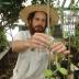 Pesach Lubinsky, a postdoctoral researcher in UC Riverside's department of botany and plant sciences, attends to a vanilla orchid.