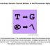 Most Y chromosomes have a T at a particular position along the chromosome (known as 13,479,028 or M172), but some have a G at this position. Lineages spread by the Phoenicians are enriched for the G.  The Phoenicians invented the alphabet, and if they had written down their genetic variant, this is how it would have looked.