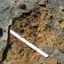 Researchers have compared the Aznalcóllar disaster with the Cretaceous mass extinction.