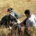 WCS biologist S. Bolortsetseg takes measurements of a Mongolian gazelle while D. Nyamsuren, a veterinarian from Dornod Aimag Veterinary Laboratory, collects blood samples. WCS field assistant Otgoo restrains the gazelle.