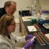 While John Trumble (standing) looks on, Kristen Hladun uses a syringe to dose honey bee foragers with a sugar solution containing selenium, a plant-accumulated pollutant, to study how the toxin alters their behavior.