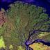 This is the Lena River delta. The Lena is one of several major rivers that flows northward into the Arctic Ocean.