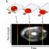 The team’s device relies on a technique called spectrally encoded confocal microscopy. (a) A single line within a blood vessel is imaged with multiple colors of light that encode lateral positions. (b) A single cell crossing the spectral line produces a two-dimensional image with one axis encoded by wavelength and the other by time.