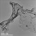 This is a transmission electron microscopy image of carbon nitride created by the reaction of carbon dioxide and Li3N.