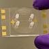 This microfluidic chip invented at UC Davis uses DNA, coated on the gold spots, to test for gamma interferon -- a test for latent TB infection. The test promises to be cheaper and faster than existing tests.