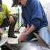 Fisheries oceanographer Molly Lutcavage tags a juvenile bluefin tuna with a pop-up satellite antenna.