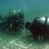 Scientists take samples of seagrass beds at NSF's Florida Coastal Everglades LTER site.