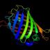 The green fluorescent proteins help measure intracellular heat.