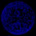 The maps in this animation show how the sky looks at gamma-ray energies above 100 million electron volts with a view centered on the north galactic pole. The first frame shows the sky during a three-hour interval prior to GRB 130427A. The second frame shows a three-hour interval starting 2.5 hours before the burst, and ending 30 minutes into the event. The Fermi team chose this interval to demonstrate how bright the burst was relative to the rest of the gamma-ray sky. This burst was bright enough that Fermi autonomously left its normal surveying mode to give the LAT instrument a better view, so the three-hour exposure following the burst does not cover the whole sky in the usual way.