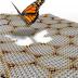 This is an artistic image illustration of a butterfly departing from a graphene moiré pattern formed on the top of an atomically thin boron nitride substrate. Electron energy in such a graphene moiré structure exhibits the butterfly like a self-recursive fractal quantum spectrum.