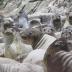 Researchers at UC Davis have discovered the H1N1 flu virus in elephant seals off the coast of central California.
