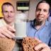 Georgia Tech researchers (l-r) Daniel Goldman and Michael Goodisman pose with a tube containing simulated soil used to study tunnels being made by fire ants. They are holding examples of nests made by the ants in the wild. The information could be useful in developing future generations of robots able to work in confined spaces.