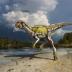 This is a life reconstruction of the new small-bodied, plant-eating dinosaur <i>Albertadromeus syntarsus</i>.