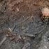 This image shows human remains found in a trench on one of the Grey Friars digs.