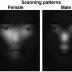 This is a figure showing the scanning patterns of a female and a male when viewing the same face for the first time.
