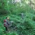 A group of residents monitor the forests of China's Wolong Nature Reserve for signs of illegal logging.