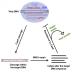 This visual abstract depics how HIV-1 can escape Cas9/sgRNA-mediated inhibition. The researchers reveal that the NHEJ repair machinery generates mutations in the HIV-1 Cas9 cleavage site that result in two outcomes: viral replication suppression and viral escape.