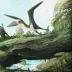 Artist impression of the small-bodied, Late Cretaceous azhdarchoid pterosaur from British Columbia. These flying reptiles are shown here not surrounded not by other pterosaurs, but birds. Some researchers have argued that small pterosaurs were ecologically replaced by birds by the Late Cretaceous, but the discovery of new, small-bodied pterosaur remains from British Columbia shows that at least some smaller flying reptiles lived alongside ancient birds. .
