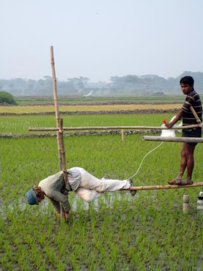 Bangladesh Village Pictures
