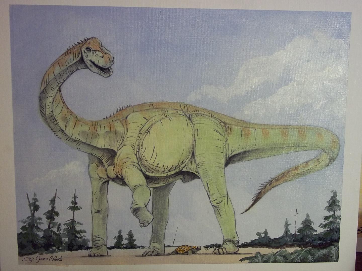 when was the first dinosaur bone discovered