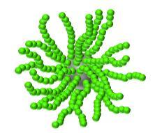 Polymers attack superbugs.