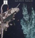 The top three feet of a chimney nearly 40 feet tall are visible as the arm of a remotely operated vehicle reaches in to sample fluids. The vent is part of the northernmost hydrothermal vent field yet seen and sampled.