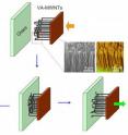Schematic shows the change in vertically-aligned multi-walled carbon nanotubes during adhesion measurements.