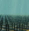 An artist's illustration of an array of VIVACE converters on the ocean floor.