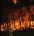 This is a forest fire in Siberia. This is a forest fire in Siberia.
