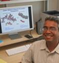 UCSD nanoengineering professor Gaurav Arya develops engineering tools and computer simulations that provide new insights into biology. UCSD nanoengineering professor Gaurav Arya develops engineering tools and computer simulations that provide new insights into biology.