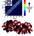 UCSD nanoengineering professor Gaurav Arya has developed new computational models of chromatin -- a key player in DNA regulation -- that suggests that its structure is heteromorphic (bottom graphic) from anaylsis of the interaction pattern between nucleosomes in the fiber (top graphic). UCSD nanoengineering professor Gaurav Arya has developed new computational models of chromatin -- a key player in DNA regulation -- that suggests that its structure is heteromorphic (bottom graphic) from anaylsis of the interaction pattern between nucleosomes in the fiber (top graphic).