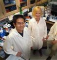 Drs. Wenbo Zhang (from left), Ruth Caldwell and R. William Caldwell have shown that elevated levels of the enzyme arginase contribute to vascular eye damage in diseases such as diabetic retinopathy.