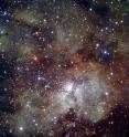 NGC 3603 is a starburst region: a cosmic factory where stars form frantically from the nebula's extended clouds of gas and dust. Located 22,000 light-years away from the sun, it is the closest region of this kind known in our galaxy, providing astronomers with a local test bed for studying the intense star formation processes, very common in other galaxies, but hard to observe in detail because of their large distance.

The newly released image, obtained with the FORS instrument attached to one of the four 8.2-m VLT Unit Telescopes at Cerro Paranal, Chile, is a three-color combination of exposures acquired through visible and near-infrared (V, R, I) filters. This image portrays a wider field around the stellar cluster and reveals the rich texture of the surrounding clouds of gas and dust. The field of view is 7 arcminutes wide.