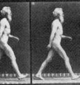 English photographer Eadweard Muybridge (1830-1904), who pioneered the use of multiple cameras to capture motion, is shown walking heel-first as humans usually do. A new University of Utah study shows that stepping onto the heel first requires much less energy than putting the ball of the foot or the toes onto the ground first.