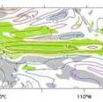 This diagram shows global warming pattern formation in sea surface temperature and rainfall.