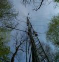 This is the Eddy-Flux-Tower in the Hainich National Park, Germany. This is the Eddy-Flux-Tower in the Hainich National Park, Germany.