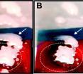 These are sequential images of ice layer removal from hydrophilic Al, fluorinated hydrophobic Si, and microstructured fluorinated Si (SHS). A group of droplets (Tdroplet = 20 °C) was impinged from a 10 cm height simultaneously onto three surfaces (Tsubstrate  = &#8722;30 °C) tilted at 15°, freezing immediately upon contact (A). As the substrate temperature was raised above 0 °C, the droplets on the SHS that were not in contact with those pinned at the unpatterned hydrophobic region (see droplets located at the bottom of the imaged area) immediately slid off (B), followed by the removal of the droplets on SHS that were bridged with the droplets frozen on the unpatterned hydrophobic region (C) (shown with a dashed oval); while droplets on the unpatterned hydrophobic region (indicated with a white arrow) and the hydrophilic region remained pinned even upon fully melting (D). This indicates that even below the transition temperature, droplets are able to stay nonwetting on a SHS upon impact.