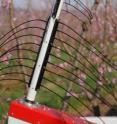 String arrangement of molded hollow cords of mechanical string thinner when thinning peach trees. More strings are required for thinning apple trees. String arrangement of molded hollow cords of mechanical string thinner when thinning peach trees. More strings are required for thinning apple trees.